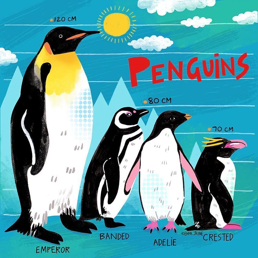 goodkidtweets's tweet image. Penguin height chart 🐧❄️ by Emma Jayne

buff.ly/4bN2vhJ

#nonfictionforkids #penguins #Antarctica #childrensillustration #childrensillustrators #iloveillustrators #childrens_illustration #childrenswritersguild #moreillustration