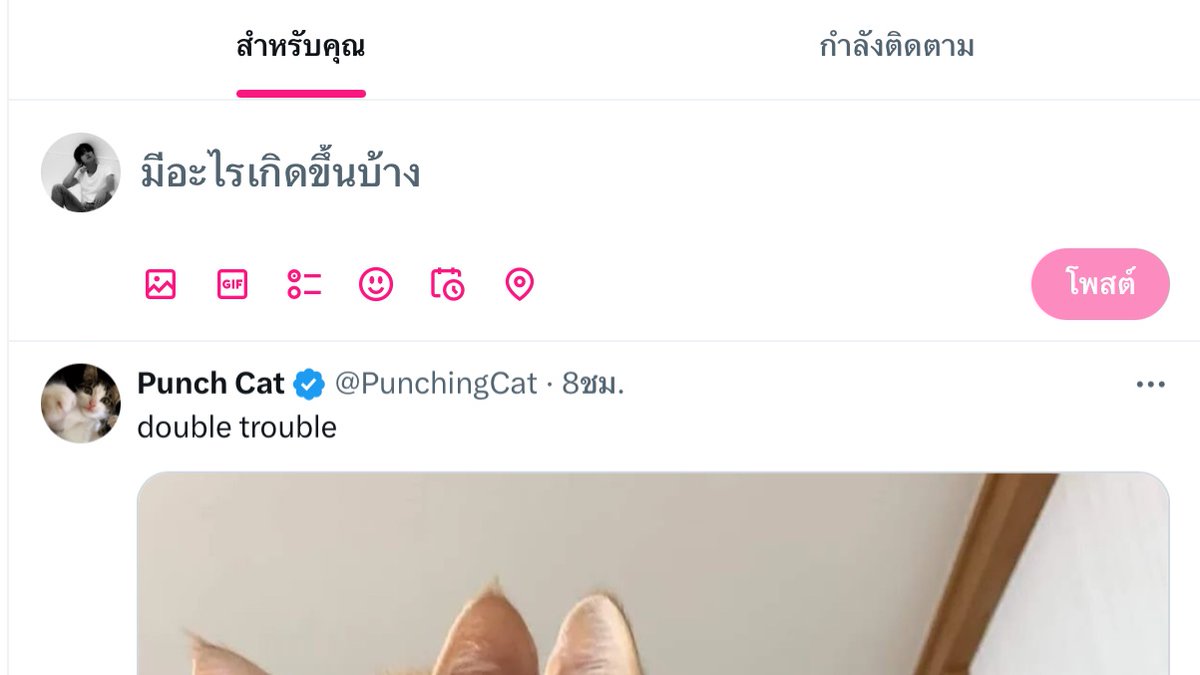 พนา tweet media