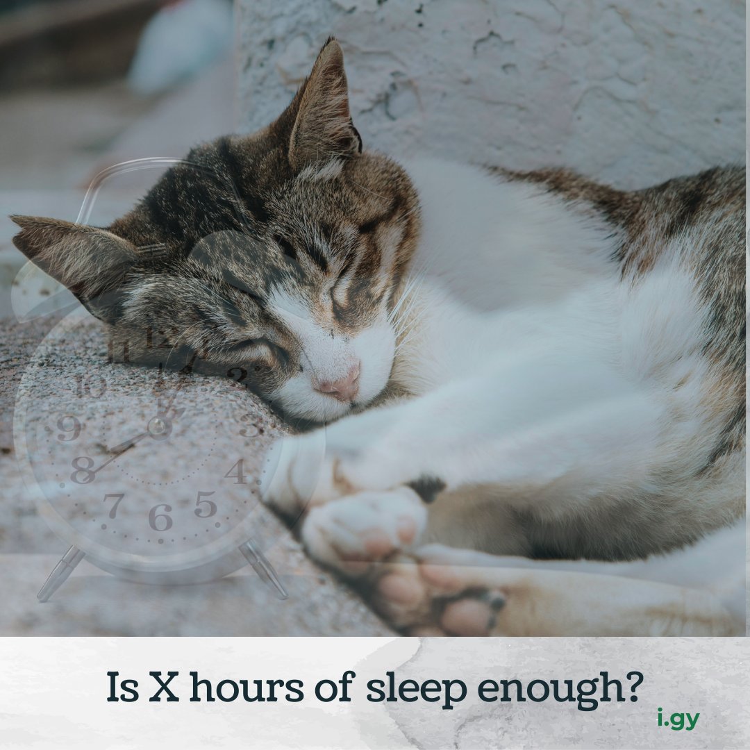igrowyoung's tweet photo. Is X Hours of Sleep Enough?
Most people overlook the key rule – just fucking sleep enough! 😴 This means waking up naturally without an alarm, whether it’s 7, 8, or 9 hours. 🌙✨
👉Link in bio👈
#sleepwell #noalarms #justsleep #igrowyounger #justfuckingsleep https://t.co/t5Rplu6M1m
