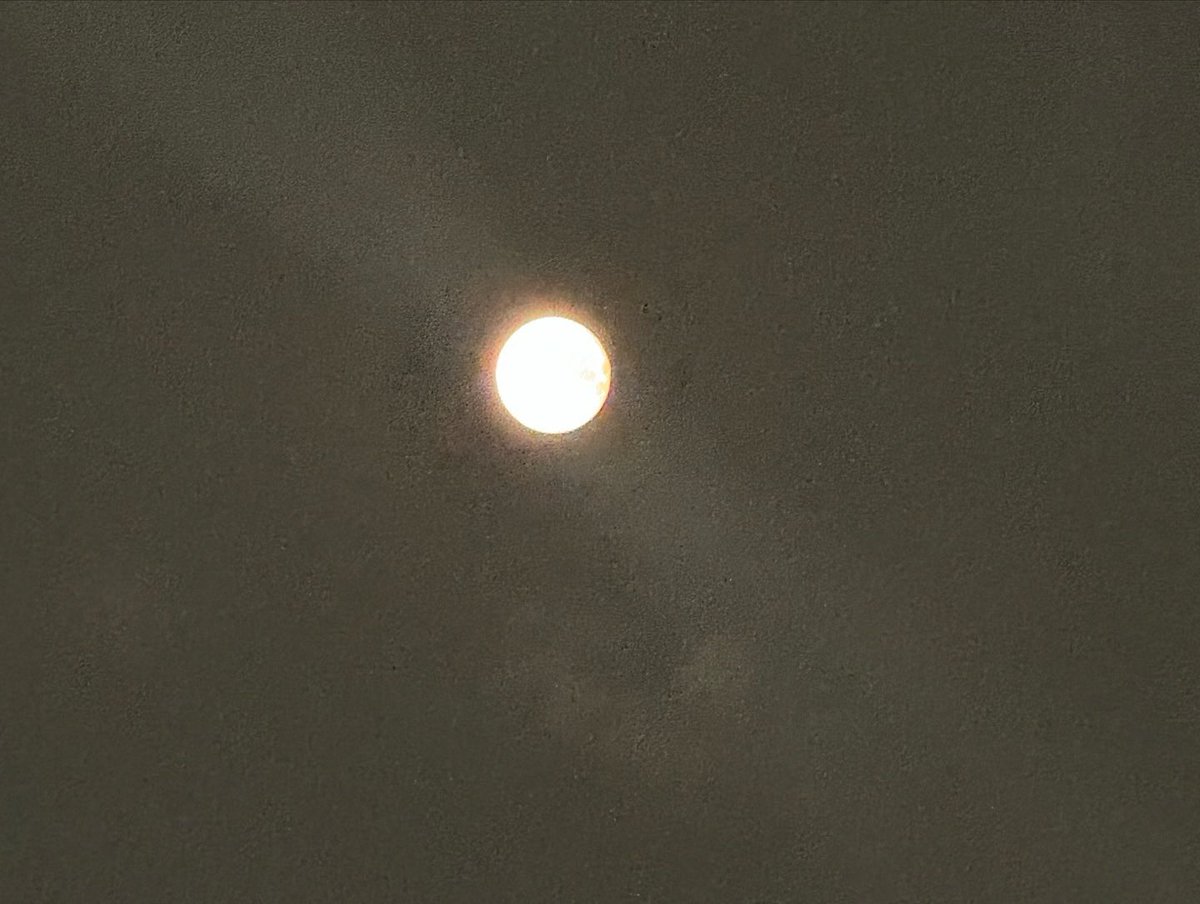 cxaxunxo's tweet photo. 240719 인스타그램 #차준호 ❤︎ https://t.co/KhQQuFsji8