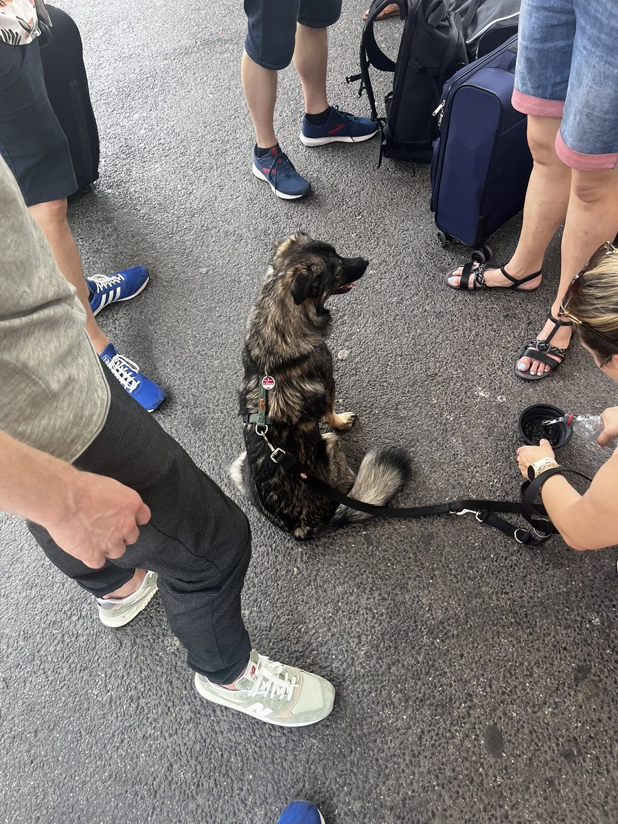 GeneralB97's tweet photo. Nach erfolgreicher Ankunft der Stuttgarter Vorhut gestern, macht sich nun der Stuttgarter Hauptverband marschbereit #tkDAbei #tkschland https://t.co/i62wz5Yvz6