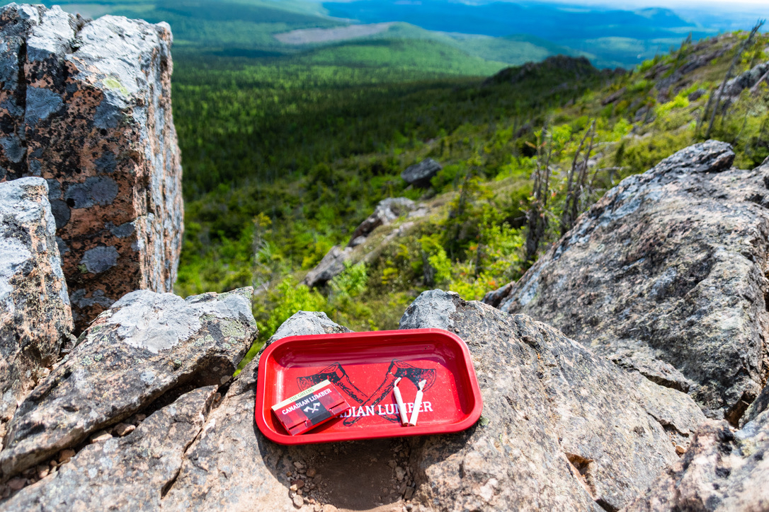 Who’s loading up on snacks and hitting a trail this weekend?! 😎😍 #views #canada #rollinglogs #canadian #mountains