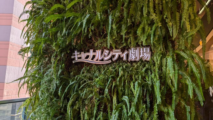 心伝観劇してきた!!2回目のほうがやっぱりストーリー染みるしカテコの清光はクソ可愛かったし帰りに食った煮玉子追加のとんこつラーメンはクソうまかった 