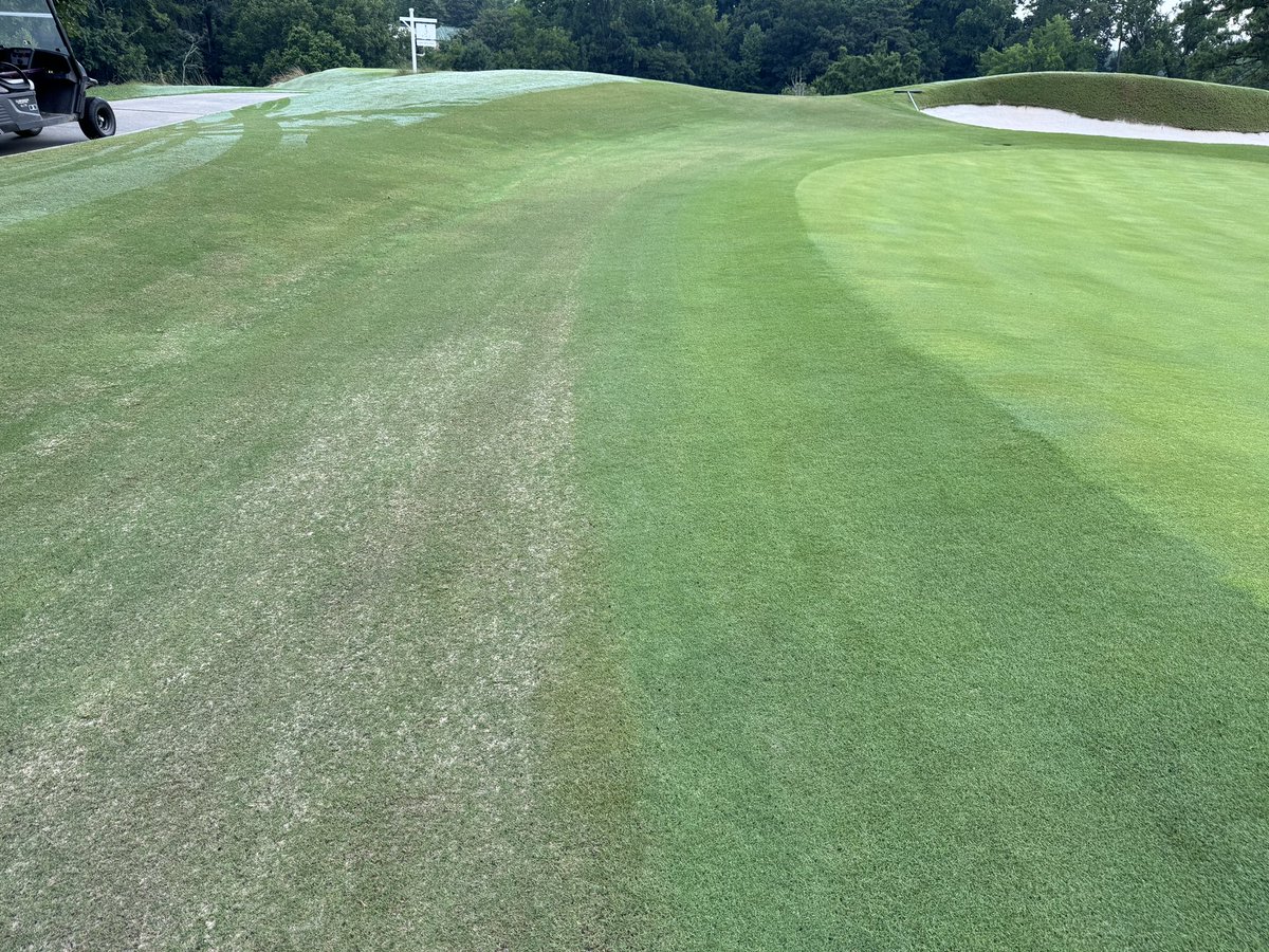 Joe Hollis tweet media