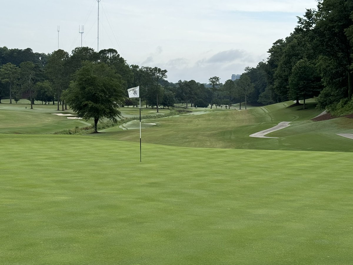 Joe Hollis tweet media