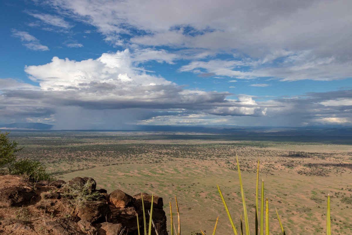 Sonja Leitner tweet media