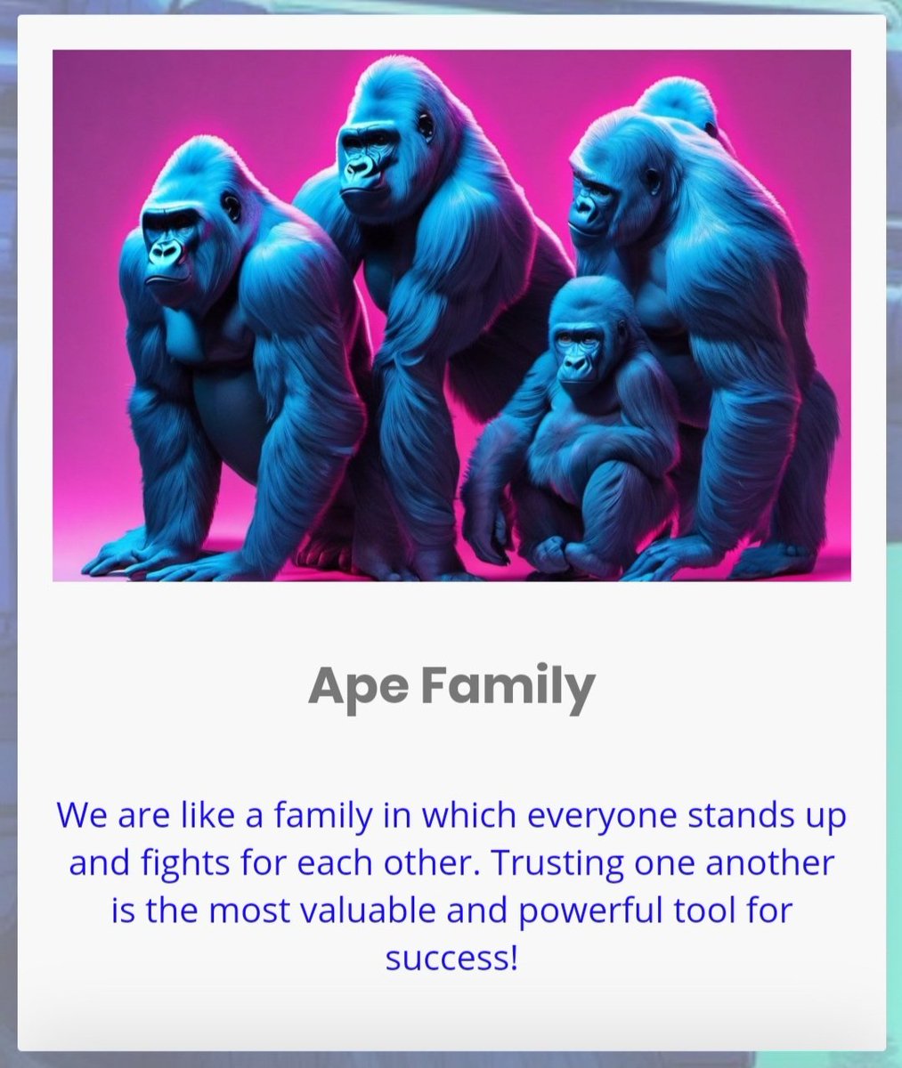 apecommunity1's tweet photo. ๐ Hello friends, we have brand new news for you. As the #memeAPE Community1, we are proud to present you our new website.
๐ https://t.co/5ZZNDAREvY
๐ค๐ปWe would like to thank everyone who has supported us and helped us reach our goals quickly.
#Fight #CommunityBuilding https://t.co/XDbY4oWfsz