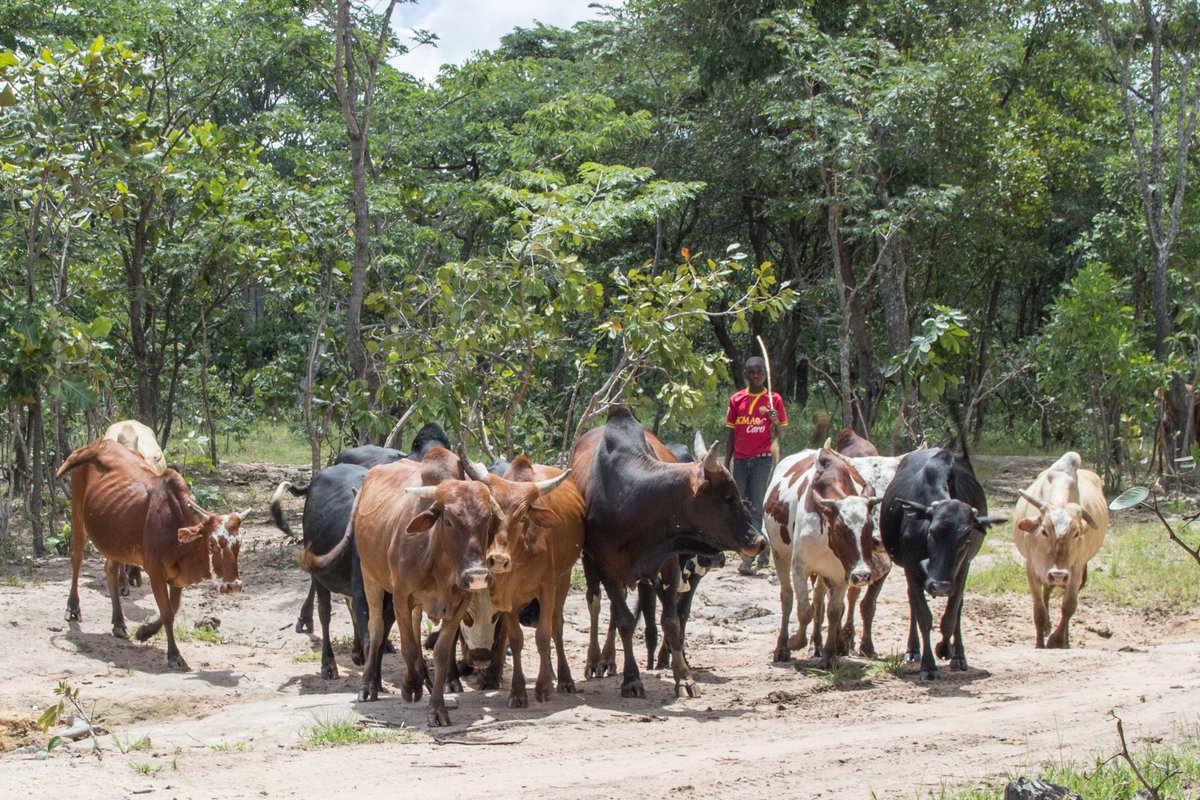 Sonja Leitner tweet media