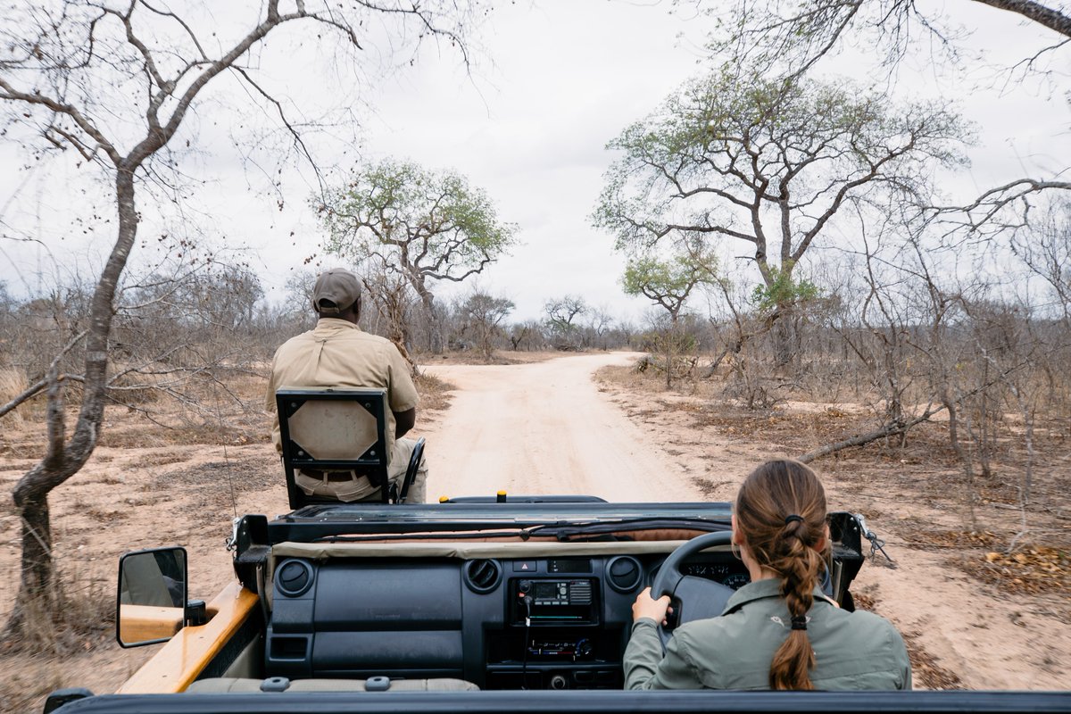 porinisafaris's tweet photo. Thread: #WanderlustFriday Dreaming of your next African adventure? Consider the Sabi Sand Game Reserve in South Africa, a premier destination bordering the southwestern side of Kruger National Park, where wildlife roams freely between the two parks. #SafariDreams #BigFive #Luxury https://t.co/SrkpZ4BLk7
