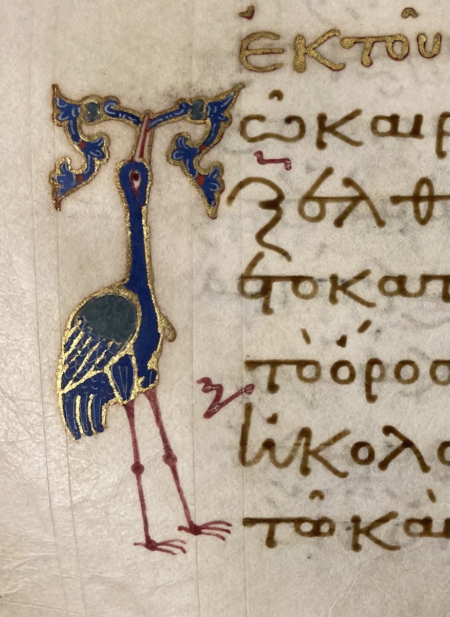 A golden bird to celebrate the beautiful sunshine on this Friday from a 1000-year-old Byzantine gospel book ⁦<a href="/bodleianlibs/">Bodleian Libraries</a>⁩ 

#friyay #fridaymotivation #weekend