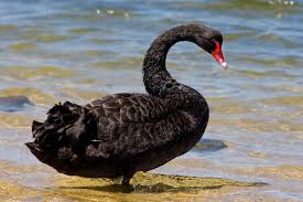 VooDooNemesi's tweet photo. Do we see a Bank Run on Monday?
#BlackSwan #Crowdstrike #Microsoft #GlobalOutages #Outage #Bangladesh #Bank #BankRun #GlobalFinancialCollapse https://t.co/AQ83gEOYvn