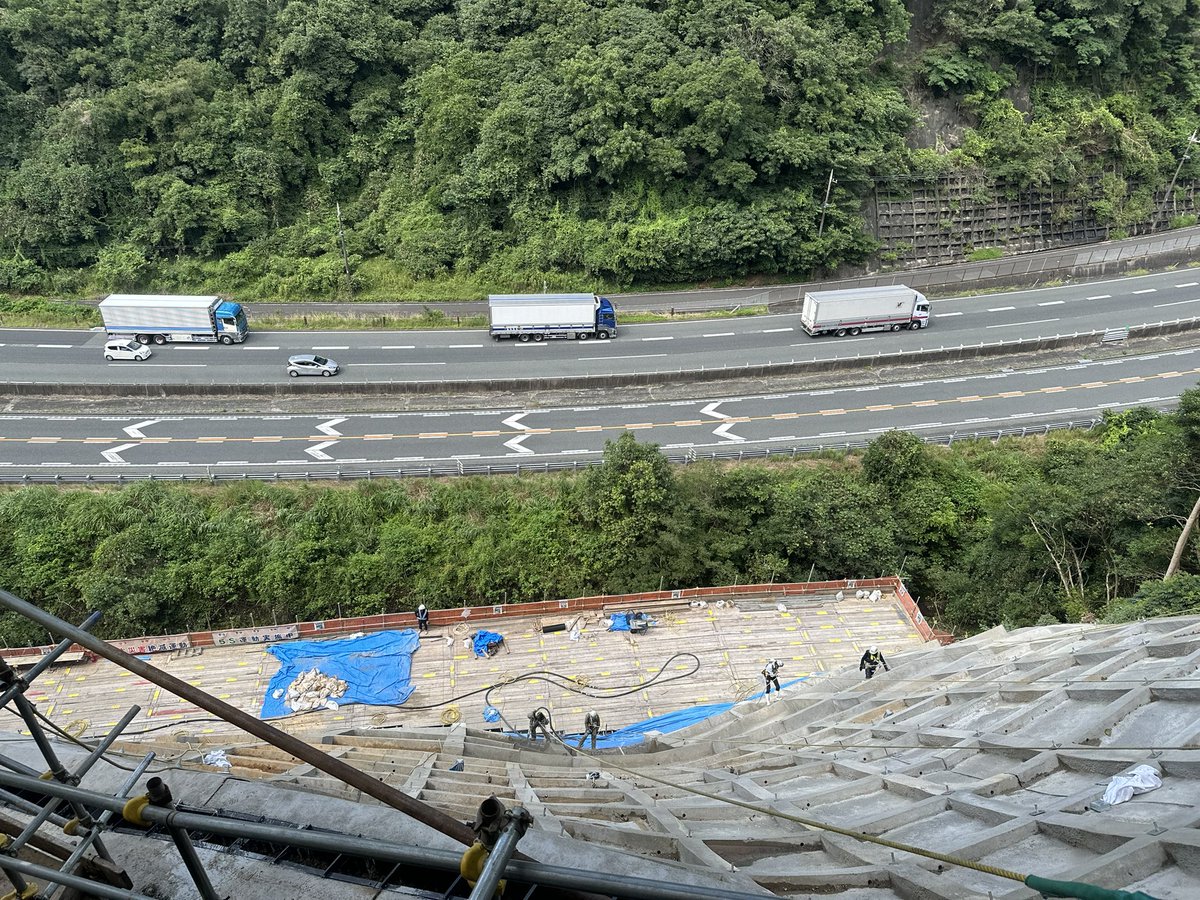 choco_limited's tweet photo. 現場にクワガタが！！
からの高速道路😛
ノコギリクワガタ？詳しい方教えて下さい
#クワガタ https://t.co/0kOQVUyfJ9