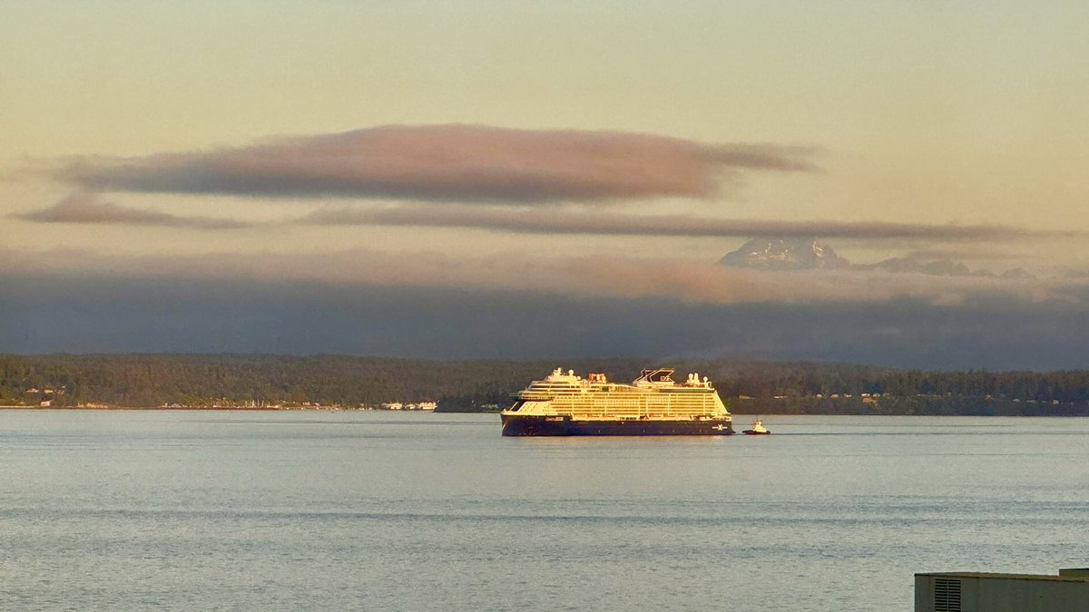 Brian Calvert tweet media