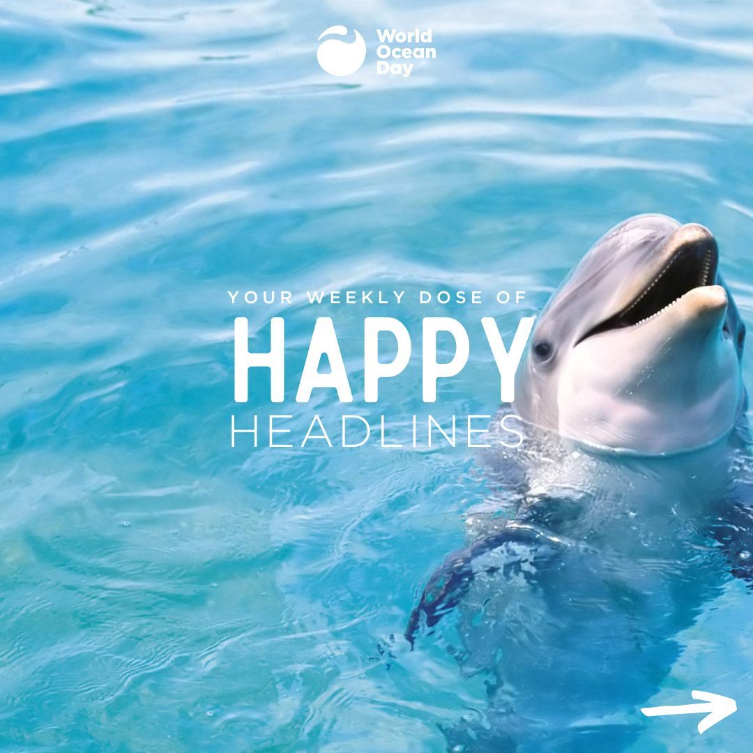 WorldOceansDay's tweet photo. #HappyHeadlines: Your weekly dose of uplifting climate and ocean news! 🌍💙 Dive into the good vibes and celebrate the positive strides being made for our planet every week! 🌿🐋 

#ClimateWins #OceanOptimism https://t.co/enAIuZir0R
