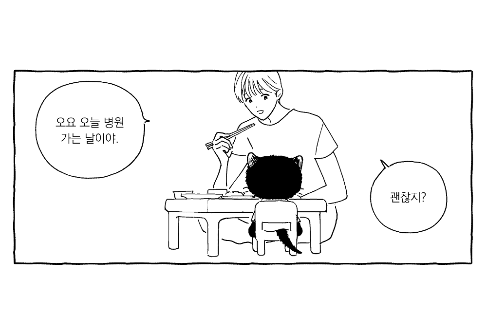 nyanlami's tweet photo. 내가 기르던 고양이가 초등학교에 간다 (1/4) https://t.co/XQu5OgNTG9