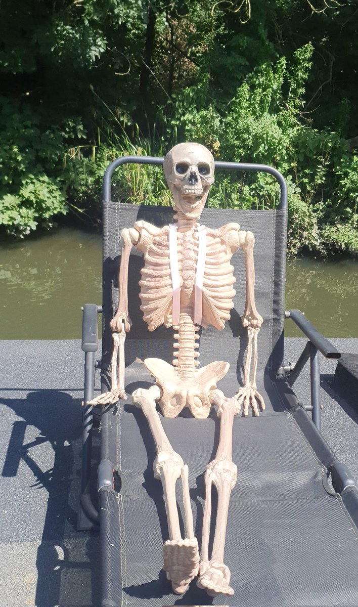 Anthony Hassan tweet media