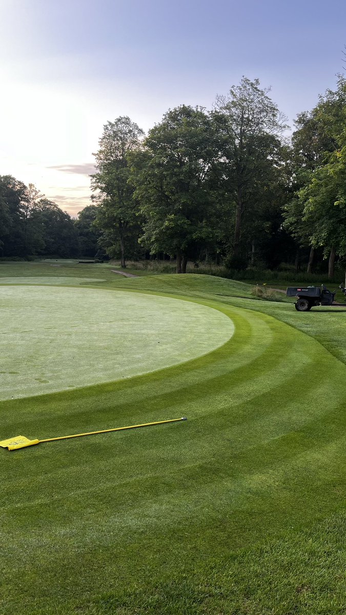 Collar definition at the moment 👌🏼🌱