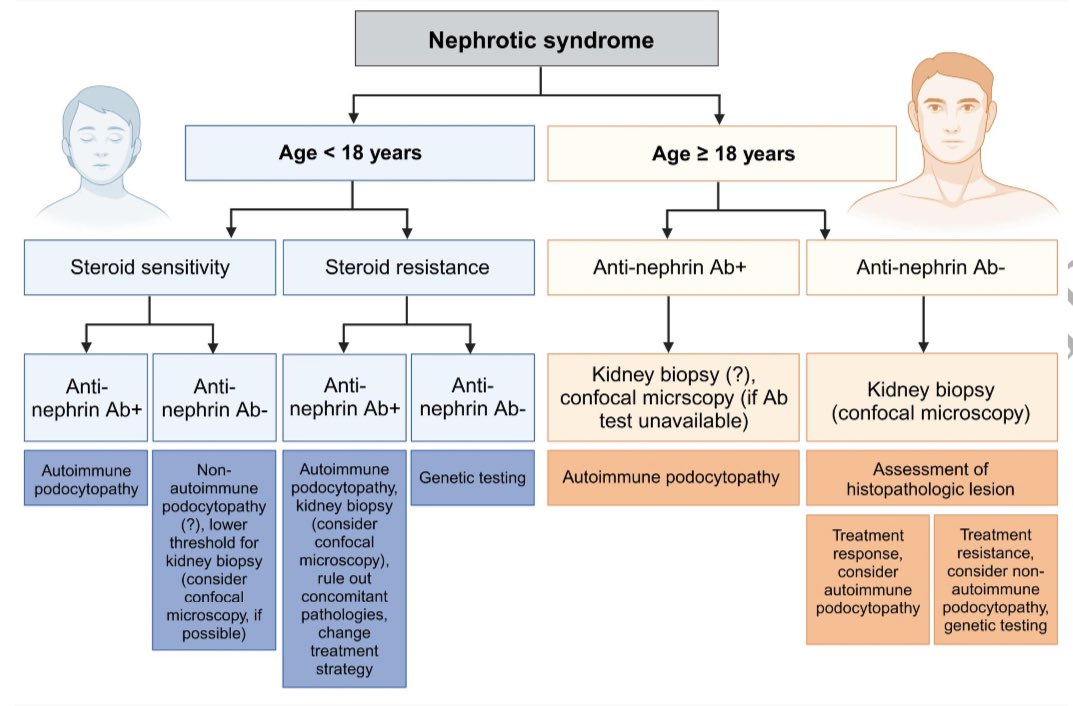 Jonathan Chávez tweet media