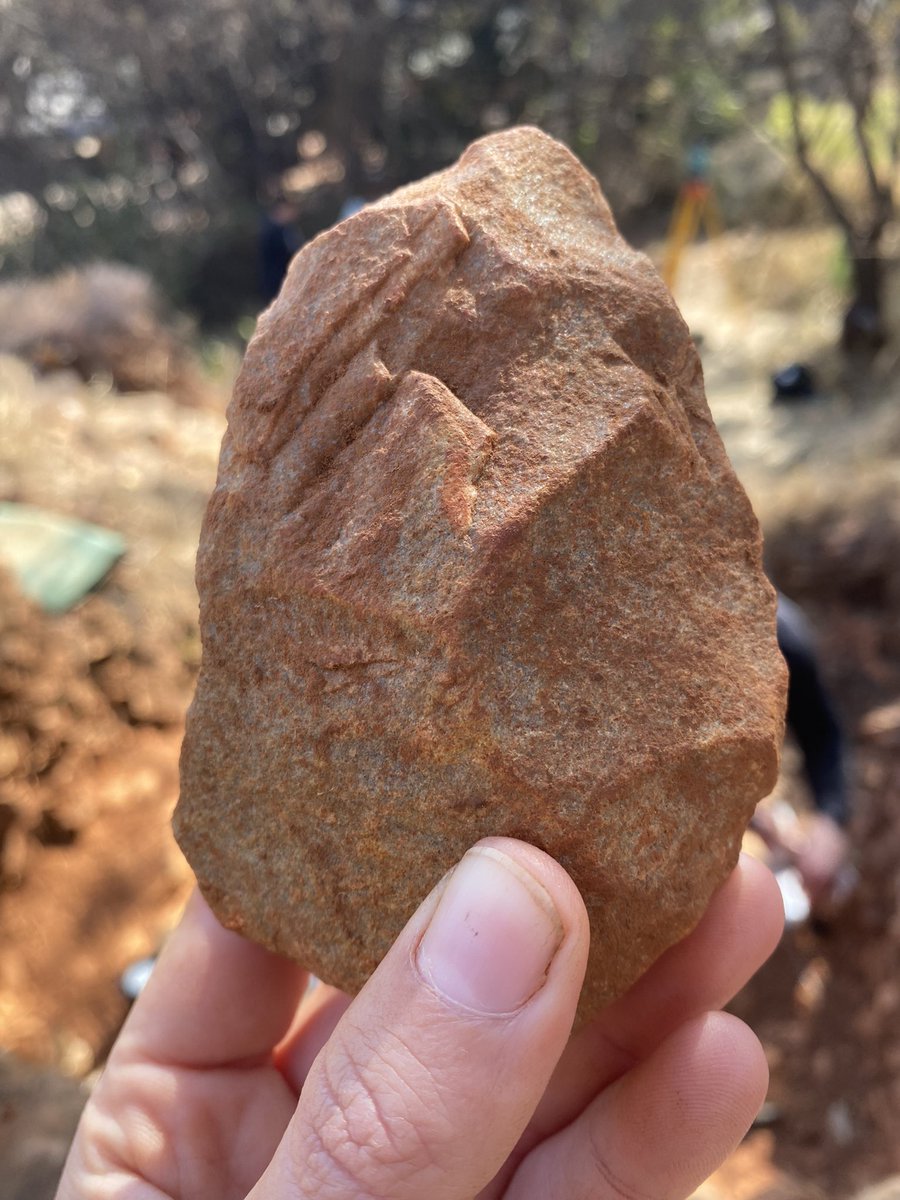 Another beautiful handaxe excavated at Wonderboom today!

#lithics #acheulean #stoneage #archaeology #handaxecalledthomas