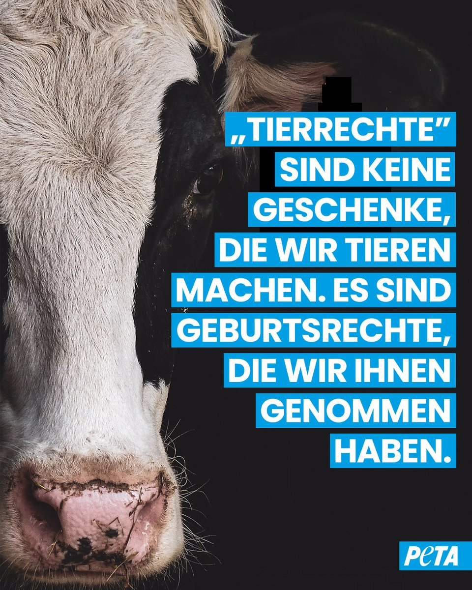PETADeutschland's tweet image. Genauso wie wir Menschen das Recht auf #Leben, #Freiheit und körperliche #Unversehrtheit haben, so müssen wir endlich auch den Tieren diese #Grundrechte anerkennen.