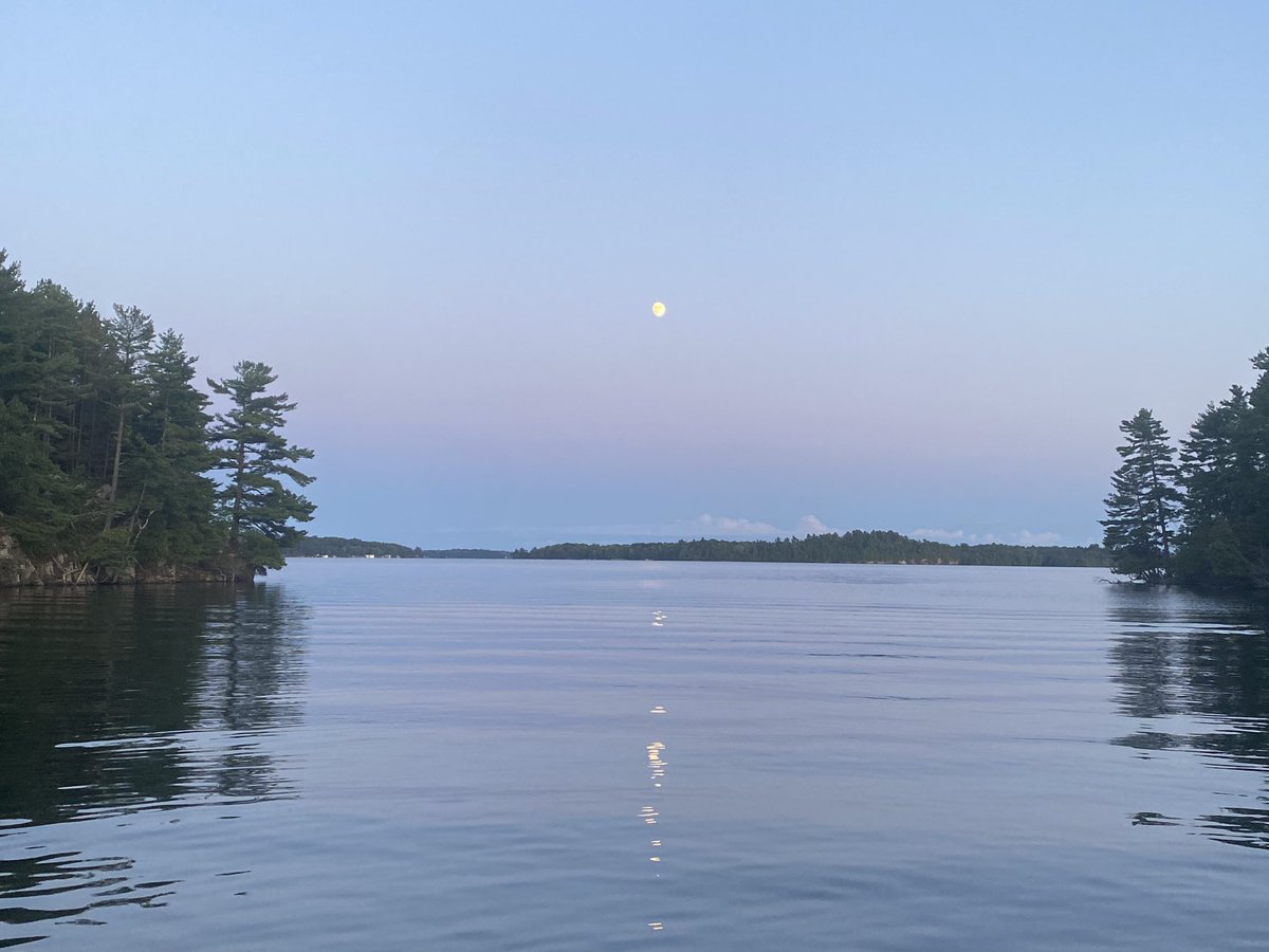 stephane cousineau tweet media