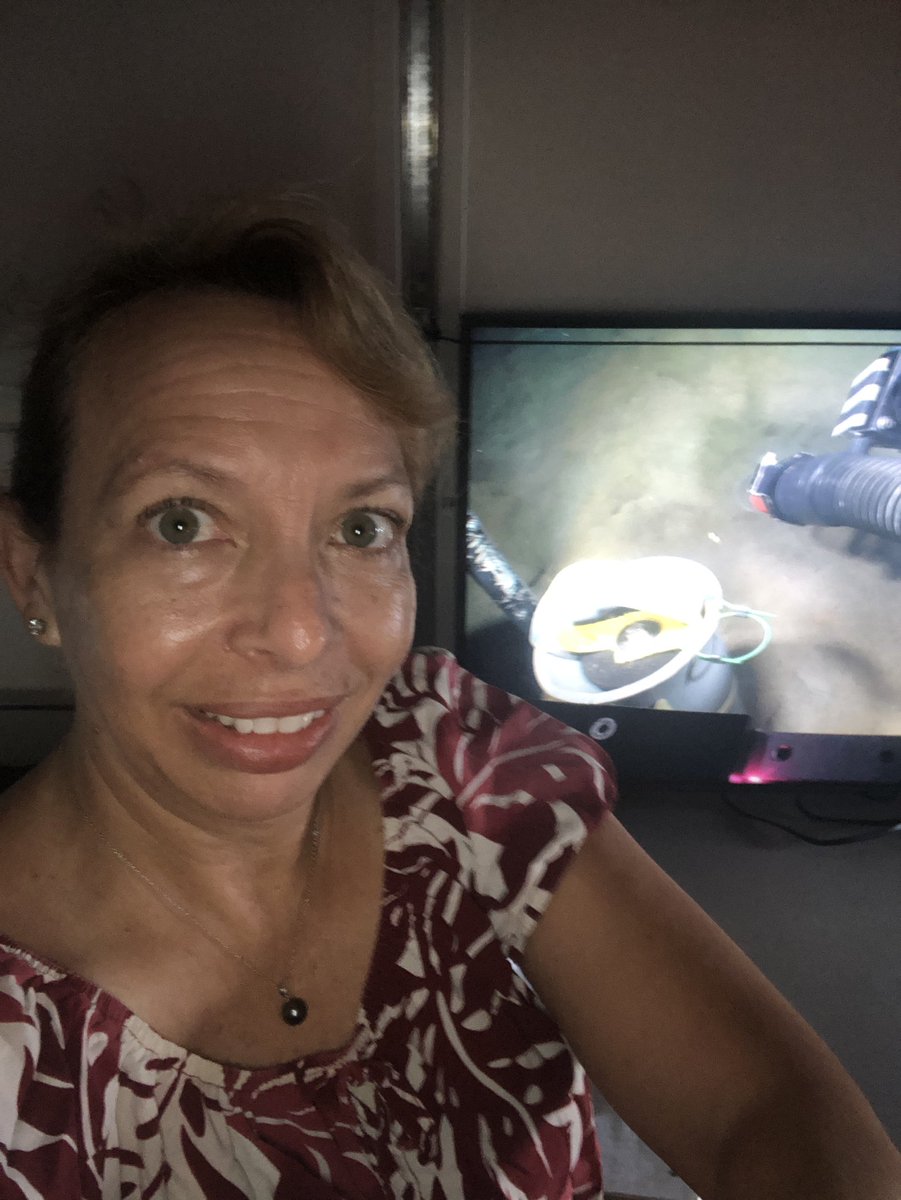 DrChrisKellogg's tweet image. It’s Hawaiian shirt Friday with the ROV team out here today #Fieldwork #MDBC #ScienceSelfie 🧪🦑👩‍🔬
