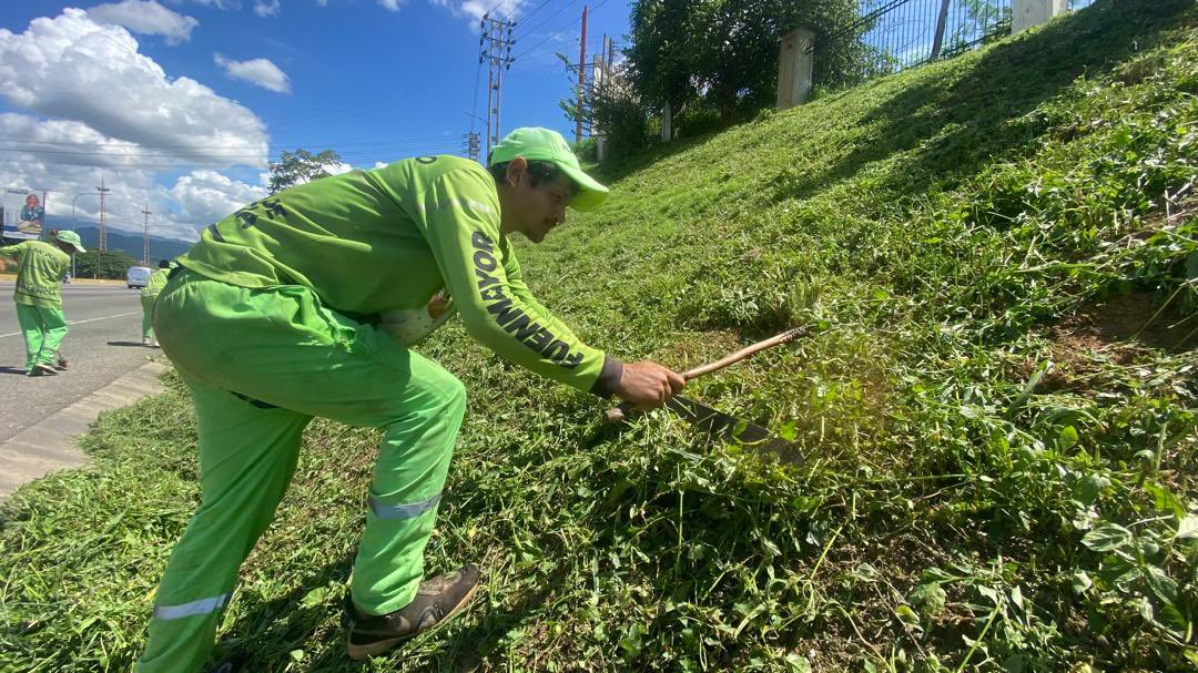 Nuestro equipo del #PlanBúho🦉 se encuentra en la Comunidad “La Adobera”, parroquia San Blas, realizando labores de barrido profundo, desmalezado y la debida recolección de desechos vegetales.

<a href="/NicolasMaduro/">Nicolás Maduro</a> 
<a href="/delcyrodriguezv/">Delcy Rodríguez</a> 
<a href="/JosueLorcaV/">Josué Lorca Vega</a> 
<a href="/rafaellacava10/">Rafael Lacava</a> 
<a href="/JFuenmayor_PSUV/">Julio Fuenmayor</a>