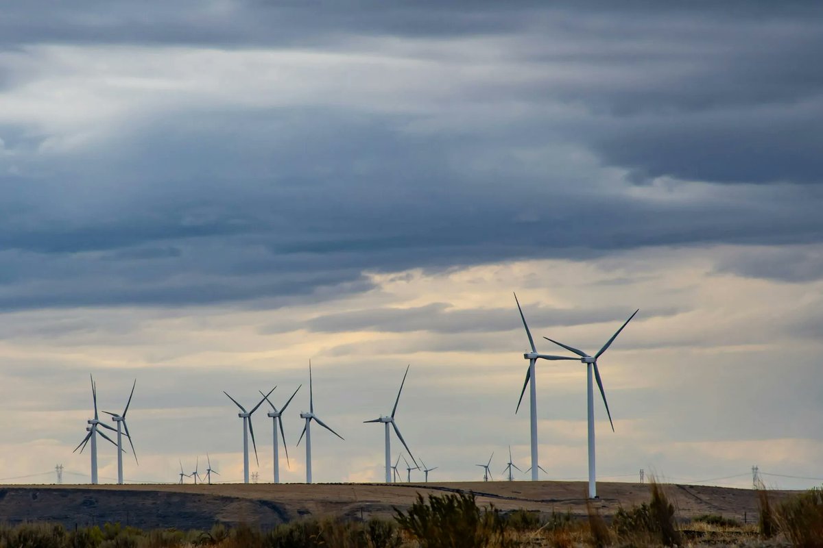 eccoclimate's tweet photo. 🔎 Che implicazioni ha a livello geopolitico la necessità di accelerare la transizione? E viceversa?

Ne abbiamo parlato durante l’evento “Transizione energetica, tecnologia e geopolitica: quali scenari strategici per l’Europa e per l’Italia?” in collaborazione con  @ECFRRoma  e con il sostegno di @CSP_live