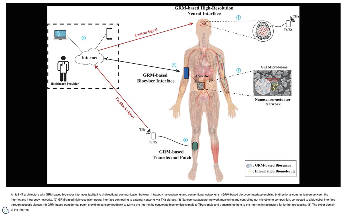 CorinneNokel's tweet image. Graphene and related materials for the Internet of Bio-Nano Things

#NanoCyberInterface

#NanoSensorNetwork

#MedicalBodyAreaNetwork

#NeuralInterface

#IoBNT 

#IoE

pubs.aip.org/view-large/fig…