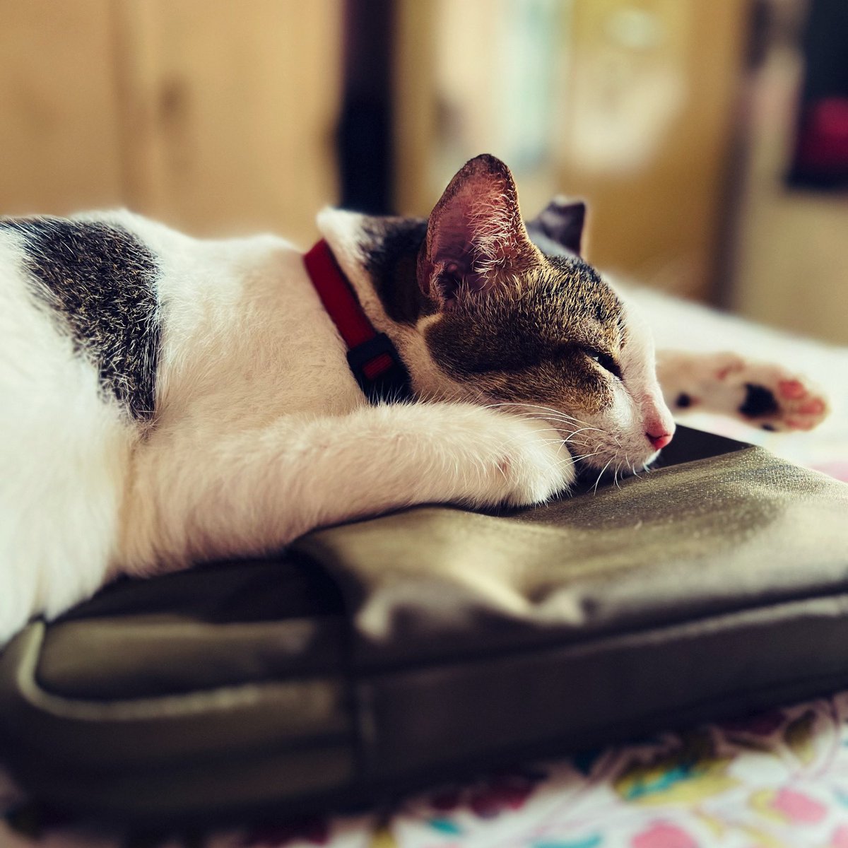 Kirti Tejas tweet media