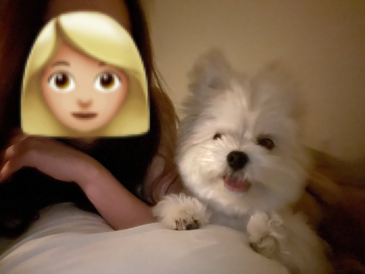 p_190224's tweet photo. 寝転がって映画見てたら、当たり前のように隣に来て一緒に鑑賞してくれる犬。まじで尊い一生守らせて以下同文 https://t.co/LWCARxUCxU