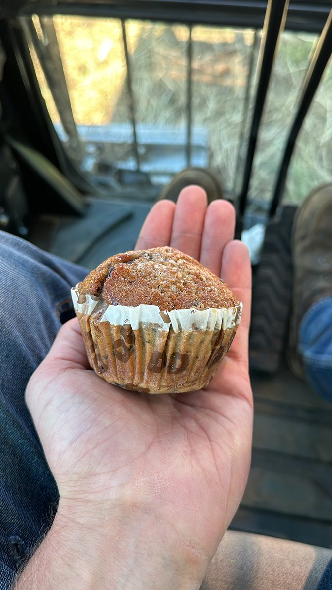 Chrispychris26's tweet photo. @dunkindonuts it is time to bring back the big muffin tops you can peel off and the abundance of sugar. This is a poor effort of a muffin. https://t.co/fCzutmnqNL