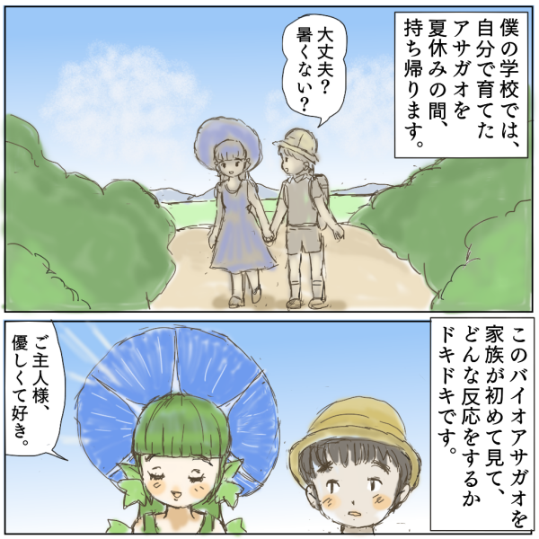 日本の夏。アサガオお持ち帰りの夏。 