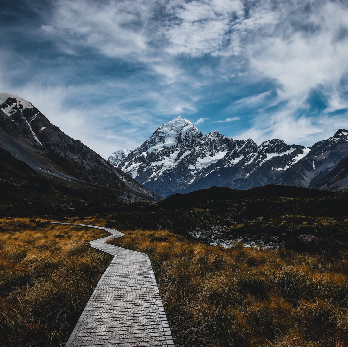 DRiP 💧 tweet media