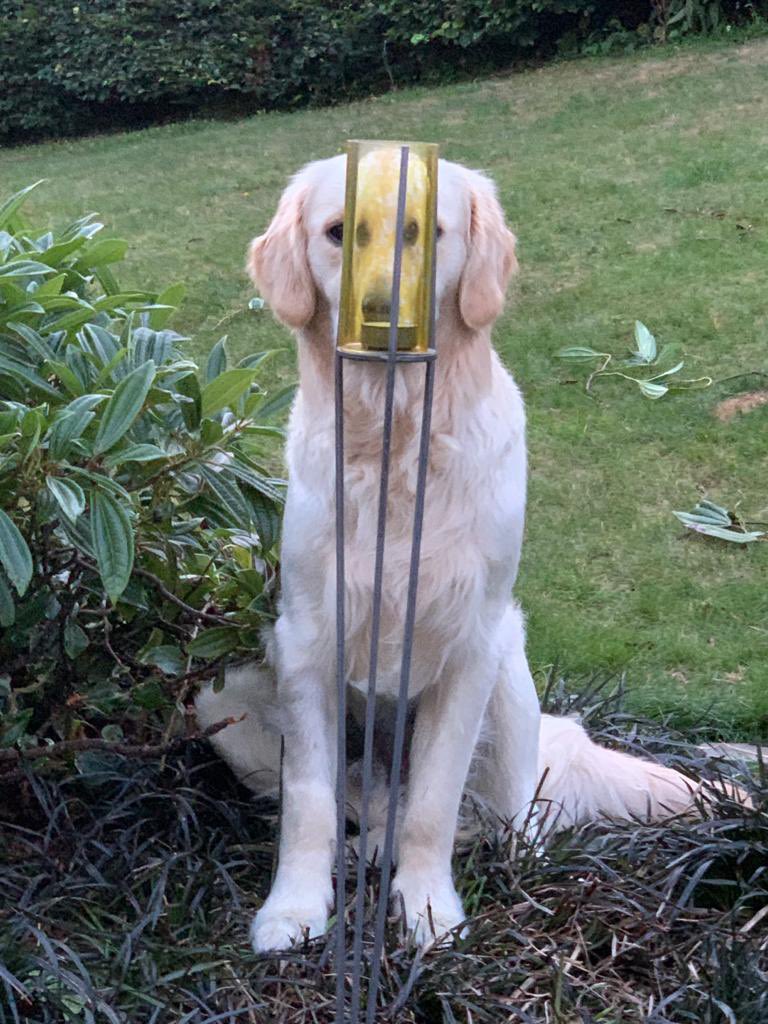 Ha! They’ll never find me here