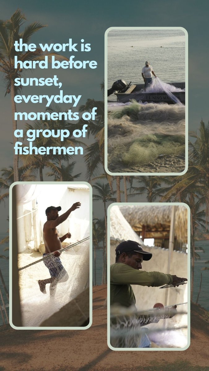 Ancestral tweet media