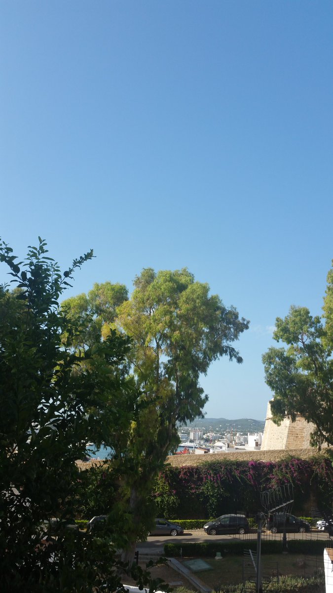 The Secret DJ. tweet media