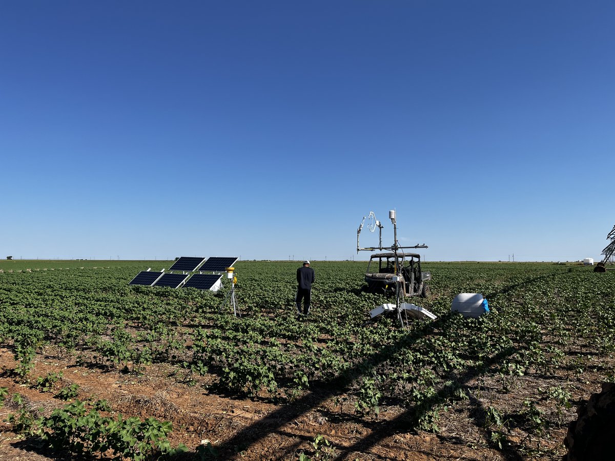 Sk Musfiq Us Salehin tweet media