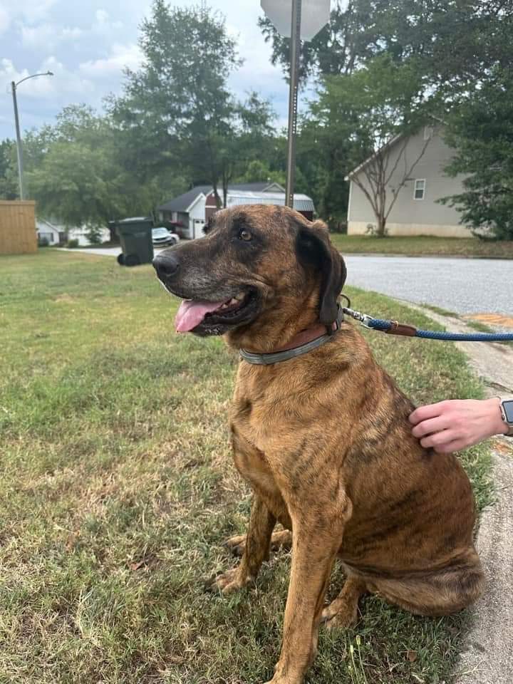 B @ The BBQ Barn tweet media