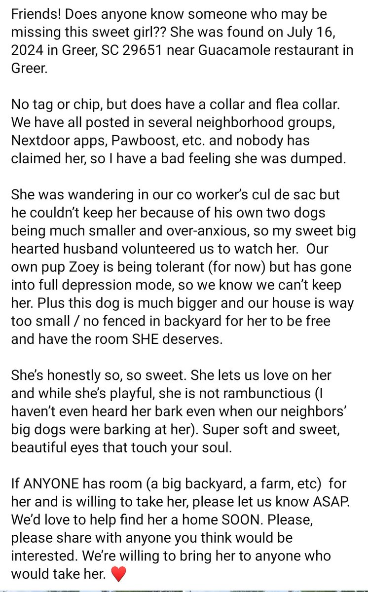 B @ The BBQ Barn tweet media