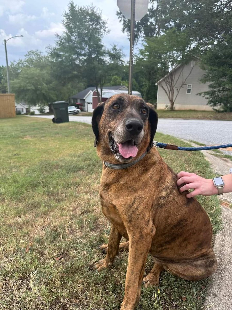 B @ The BBQ Barn tweet media