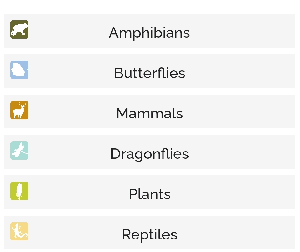 BirdTrack tweet media