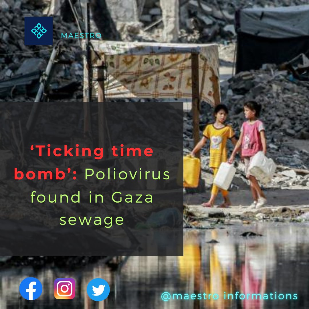 Maestroinfoo's tweet photo. #gaza #sewage #poliovírus #timebomb
Poliovirus has been detected in samples of sewage water in the densely populated Gaza Strip, placing “thousands” of Palestinians at risk of contracting the highly infectious disease that can cause paralysis. https://t.co/yxc0xIkNZN