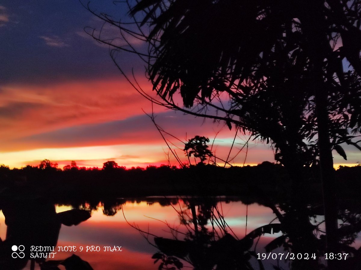 SanjitDatta194's tweet photo. Feel the symphony in the #sunset 🌆🌇 , here in my village #Chebri, #Khowai, #Tripura, #India.
#nature
#narural
#BeautyOfNature
#NaturalBeauty
#NaturePhotography
#NatureBeauty
#naturelovers
#sunsetphotography
#NatureVideography https://t.co/b6DwHO0XG6