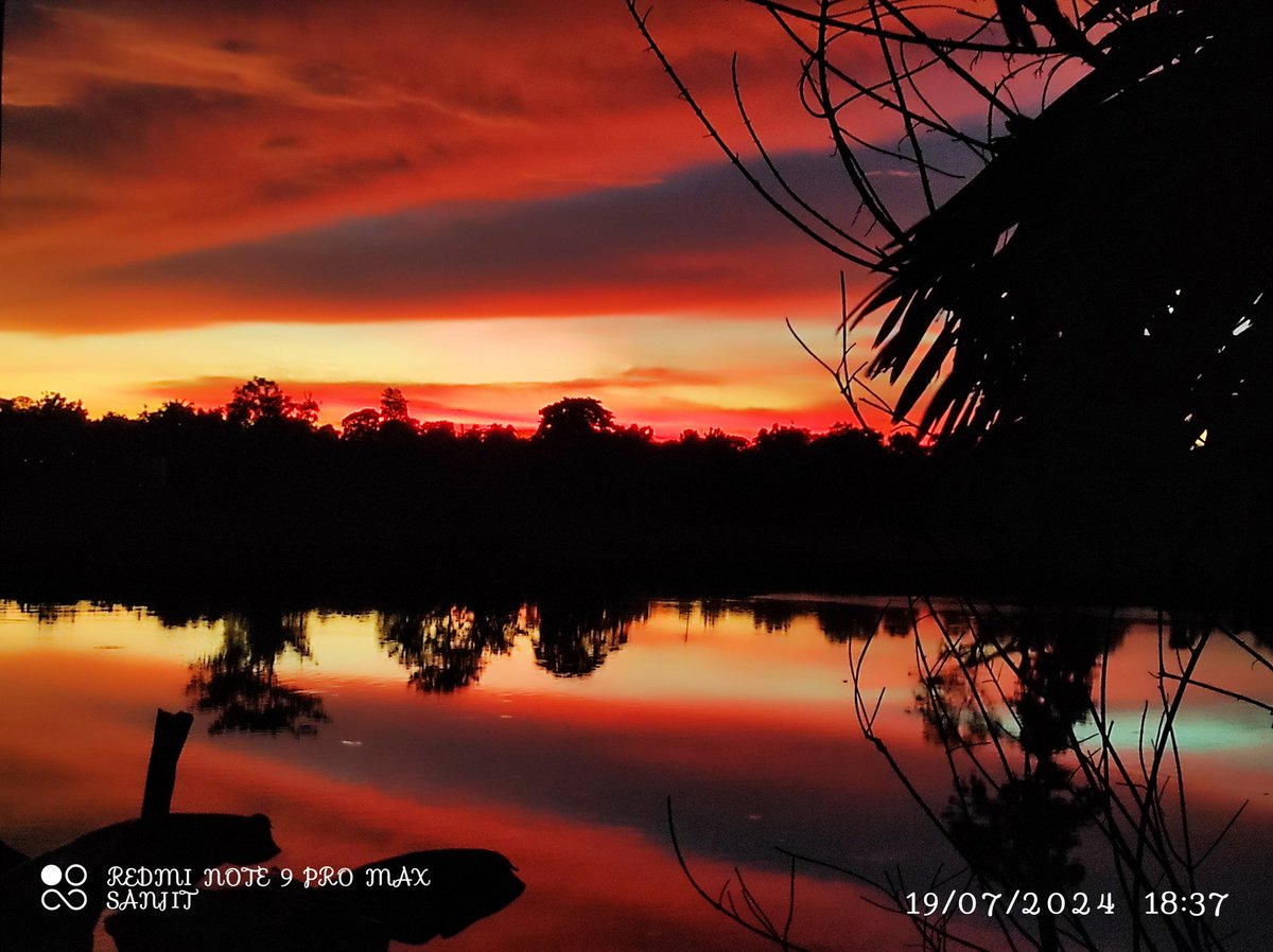 SanjitDatta194's tweet photo. Feel the symphony in the #sunset 🌆🌇 , here in my village #Chebri, #Khowai, #Tripura, #India.
#nature
#narural
#BeautyOfNature
#NaturalBeauty
#NaturePhotography
#NatureBeauty
#naturelovers
#sunsetphotography
#NatureVideography https://t.co/b6DwHO0XG6