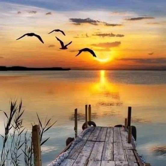 #صورة_ملف_شخصي_جديدة