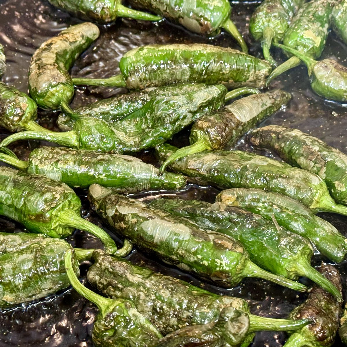 Rock~Dríguez tweet media