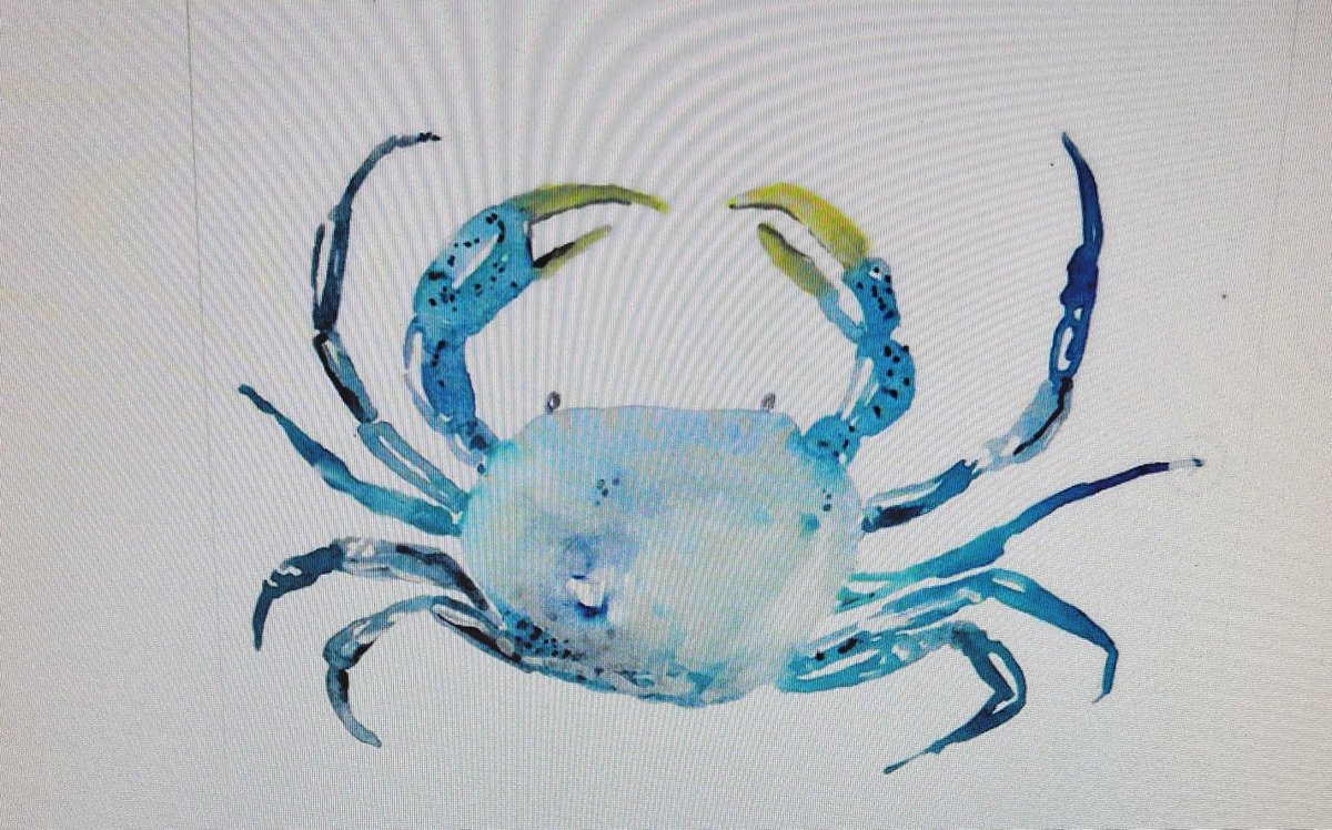 engezzi's tweet image. 