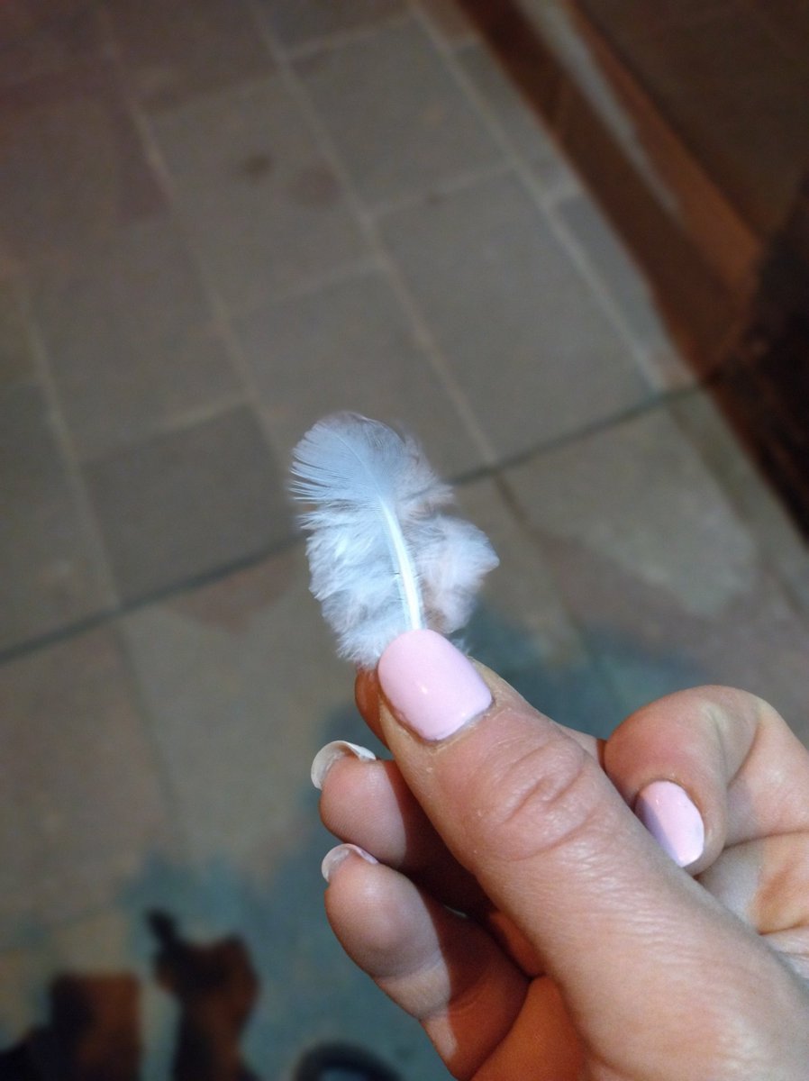 Yo si creo en las señales 🪶
Sé que siempre estás ahí 😇
GRACIAS ✨