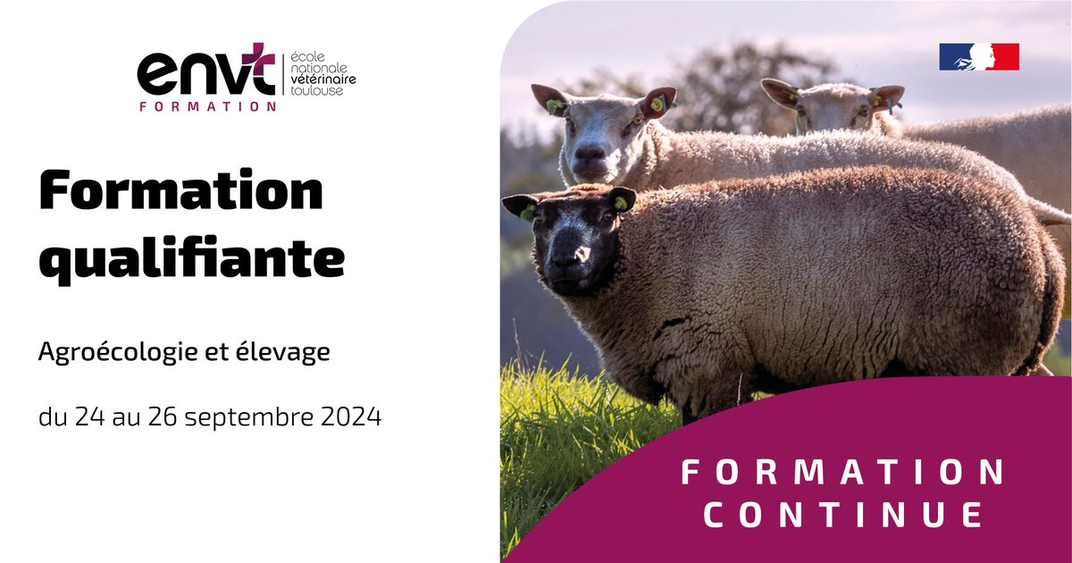 Ecole Nationale Vétérinaire de Toulouse tweet media